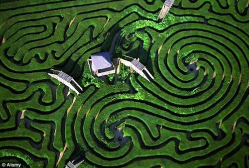 labirint1